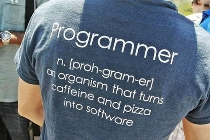 programador