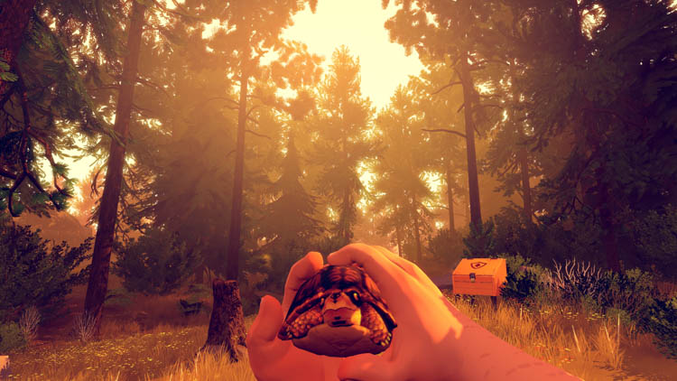 Campo Santo desvela que Firewatch tendrá una edición física limitada