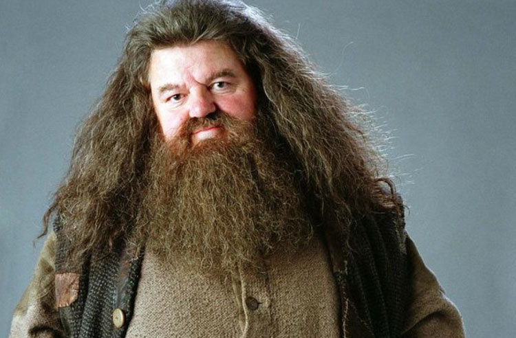 Robin Williams pudo haber sido Hagrid en las películas de Harry Potter