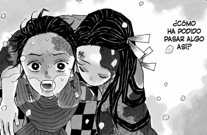 Manga Kimetsu No Yaiba 1 En Castellano Asi Empieza La Aventura