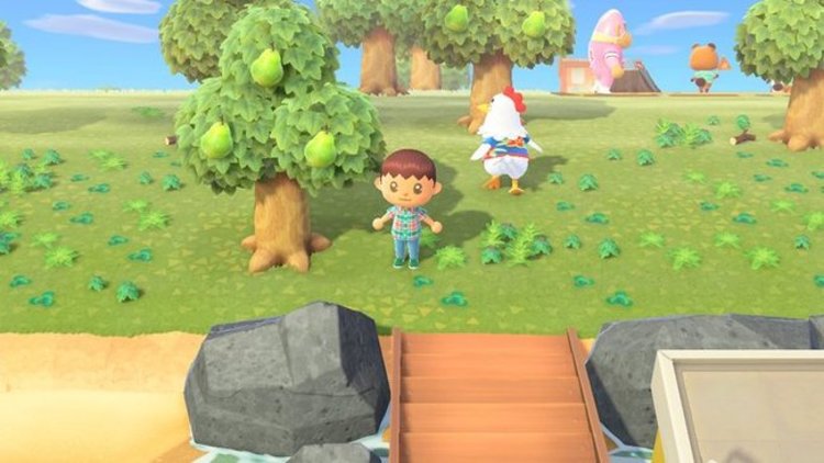 Multijugador con el mismo programa Animal Crossing en Nintendo Switch02