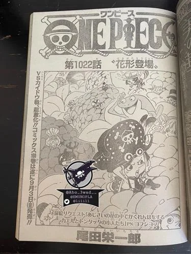 One Piece Capítulo 1022 - Manga Online