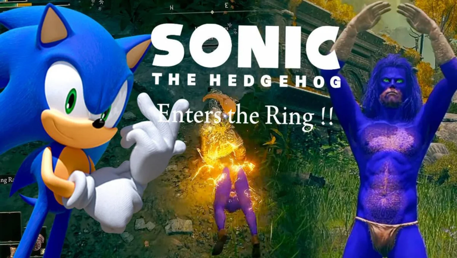 Sonic en Elden Ring