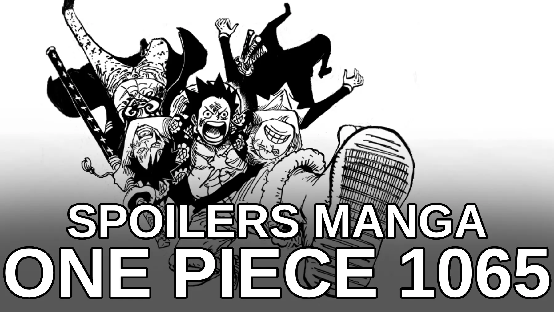 One Piece Chapter 1065 Raw Scan Manga Spoilers: Vegapunk About To Die? :  r/theRecentHighlights