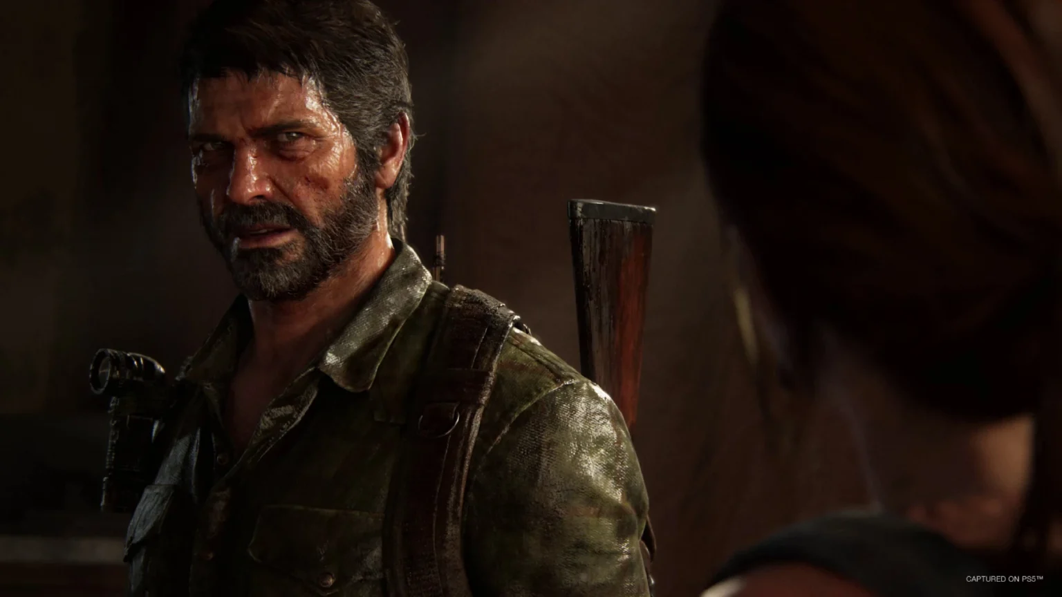 last of us PC